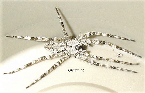 Whitebanded Fishing Spider